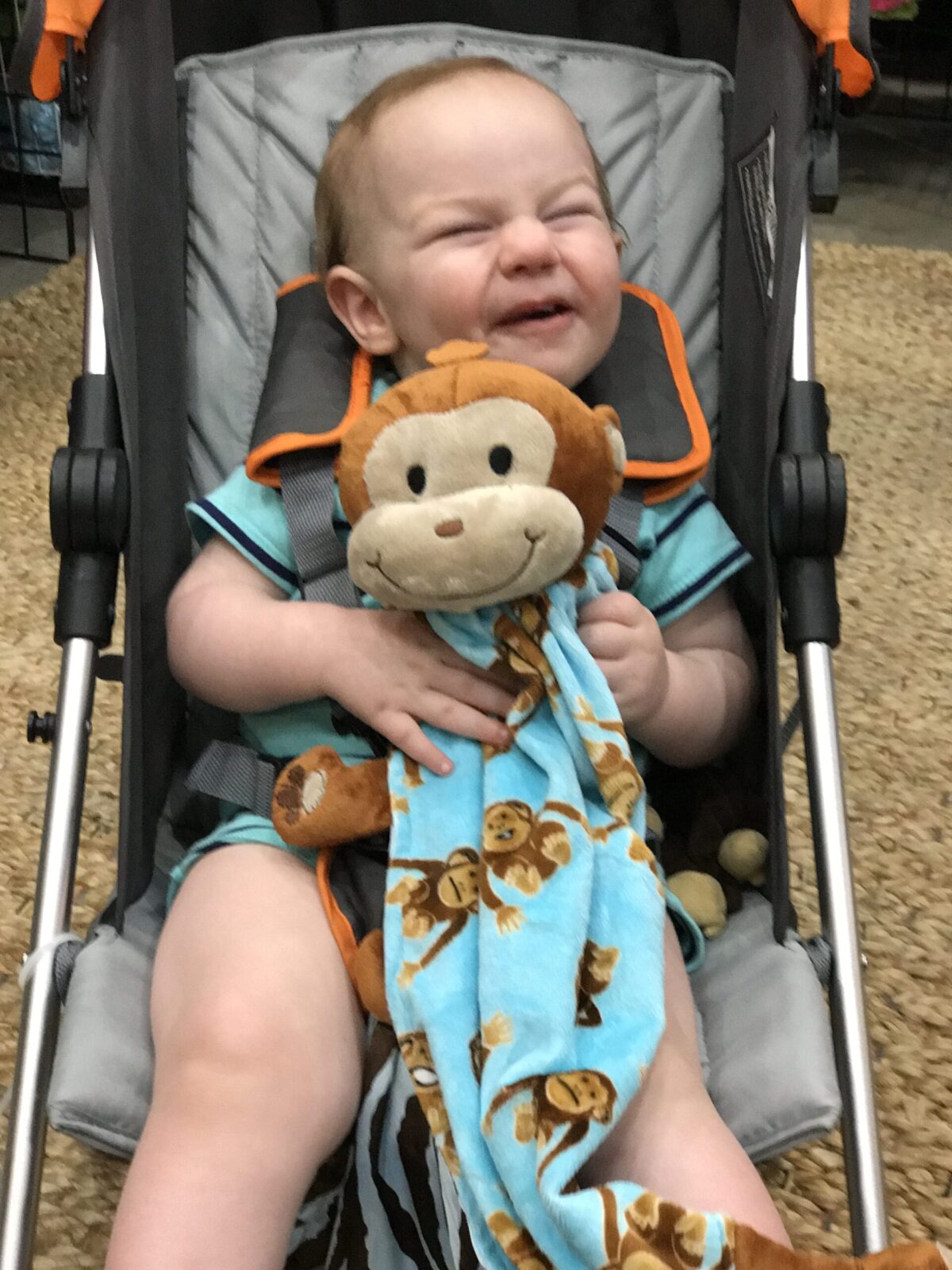 baby monkey